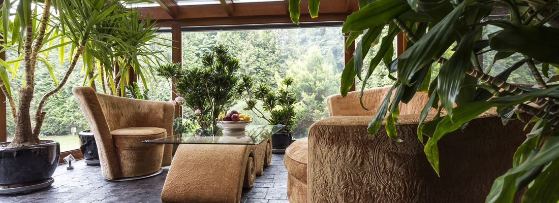 Winter garden under a Veranda awning