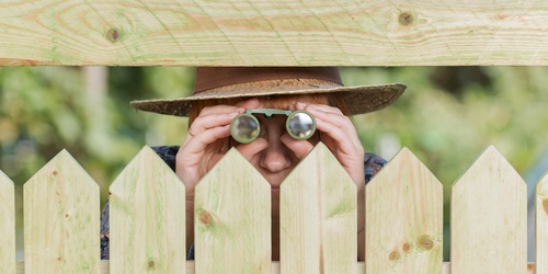 6 ways to attract curious neighbors - or how to cover the window from the neighbors