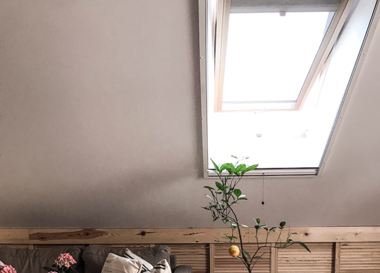 perfectly fitted Knall roller fly screen