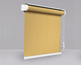 Pritemdomas roletas butui