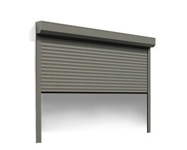 Nuotolinio valdymo garažo vartai su roletais