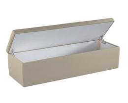 Apmušta skrynia