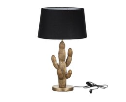 Stovintis kaktusas „Lampa“ – 75 cm aukščio