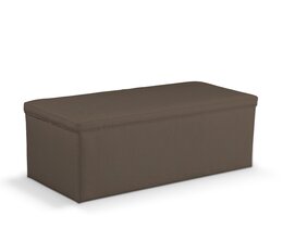 Apmušta daiktadėžė