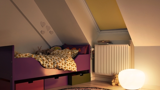 VELUX užtemdančios žaliuzės