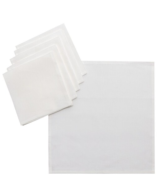 Set napkins 6 pcs 42x42cm Linen 159-06
