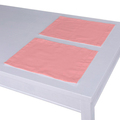 Set of 2 Placemats