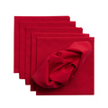 Set napkins 6 pcs 42 x 42 Quadro 136-19