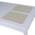 Set of 2 Placemats