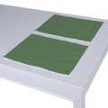 Set of 2 Placemats