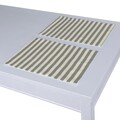 Set of 2 Placemats